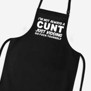 I'm Not Always A ... Just Kidding Go Fuck Yourself - Rude Aprons - Slightly Disturbed - Image 1 of 9